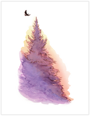 Ember Volume 2, Issue 2 Full Illustration Set by Casey Robin